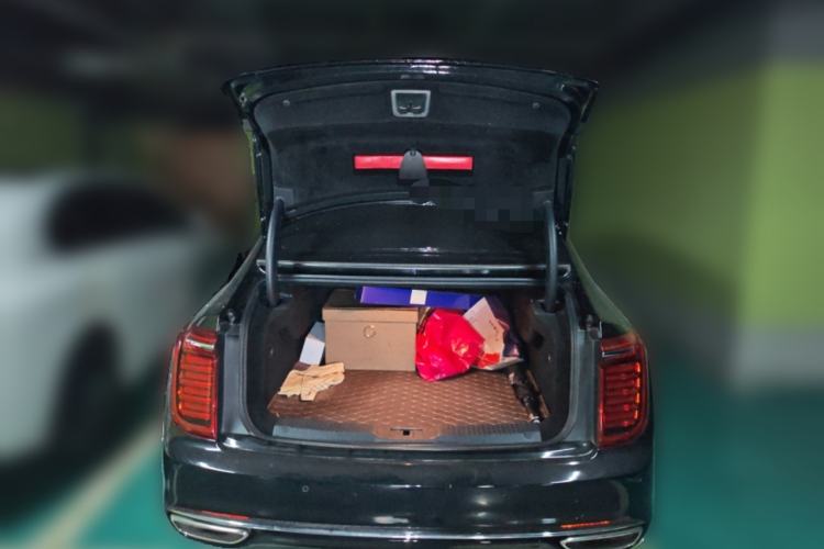 Used Hongqi H9 2020 2.0T Smart Connect Flagship Edition