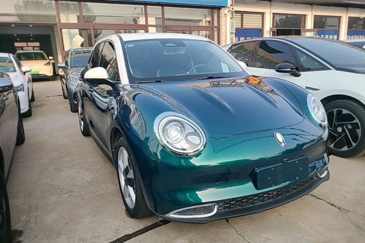 Used ORA Good Cat 2021 400km Standard Range Venus Edition Lithium-Ion Battery
