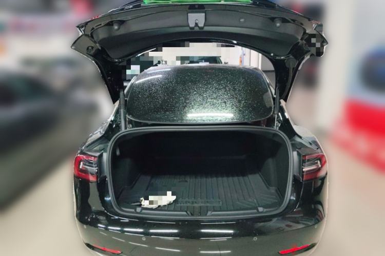 Used Tesla Model 3 2021 Standard Range Rear-Wheel Drive Upgraded Version 3D6