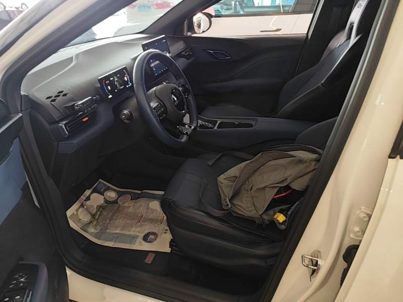Used BYD Seagull 2023 Free Edition — 14