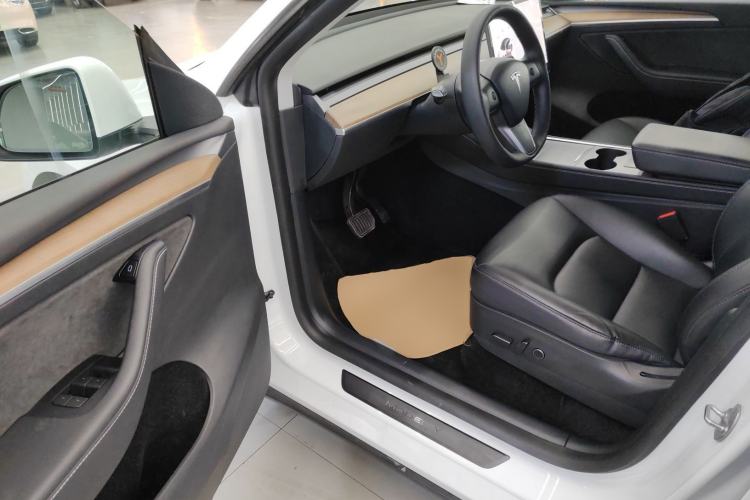 Used Tesla Model Y 2021 Standard Range Rear-Wheel Drive Version
