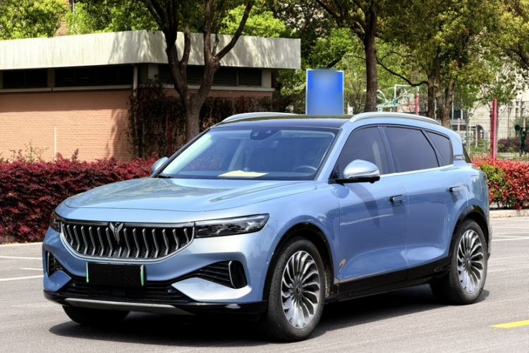 Used VOYAH FREE 2021 Four-Wheel Drive Standard Range-Extended Exclusive Luxury Package