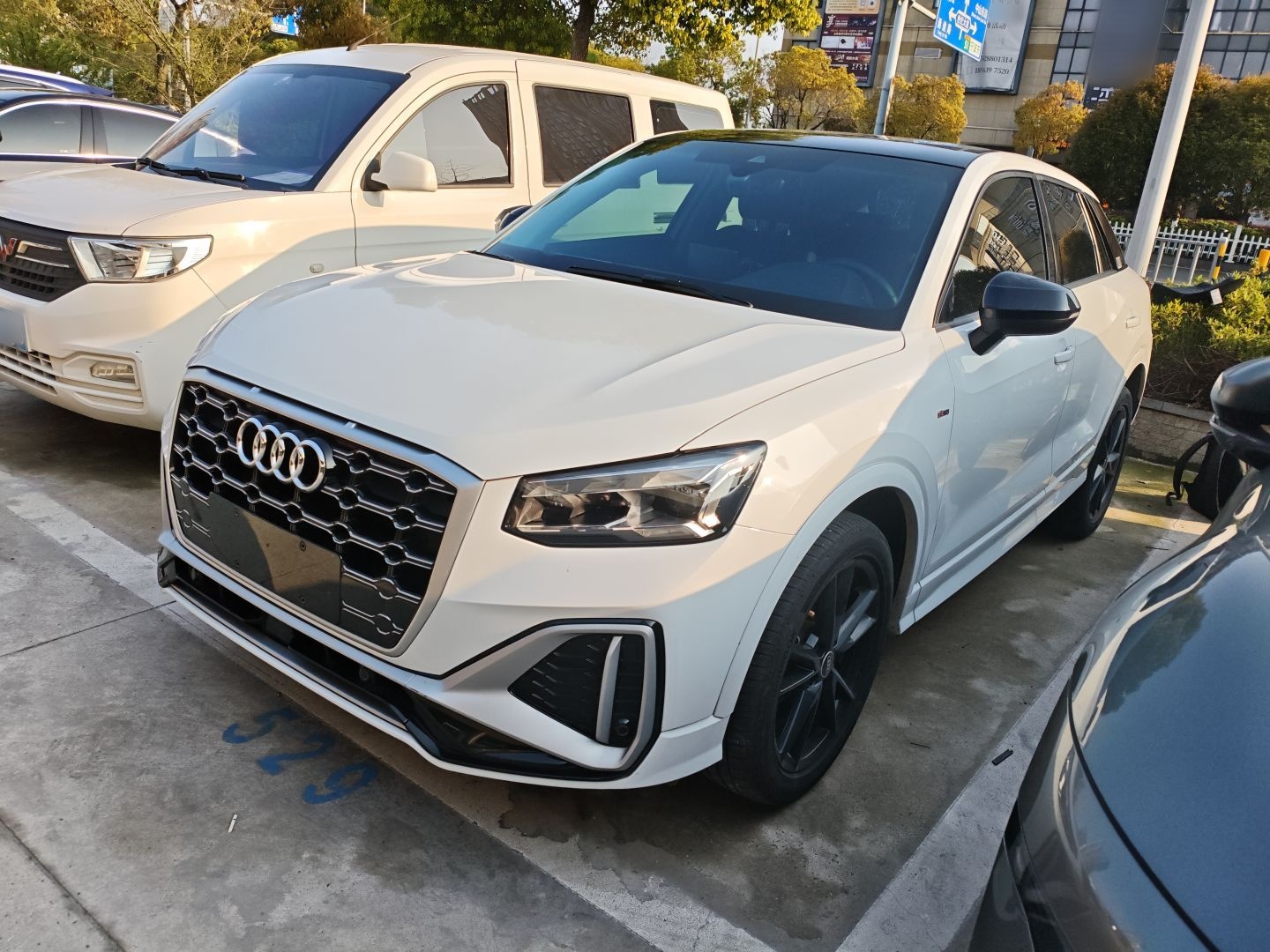 Parte inferior delantera