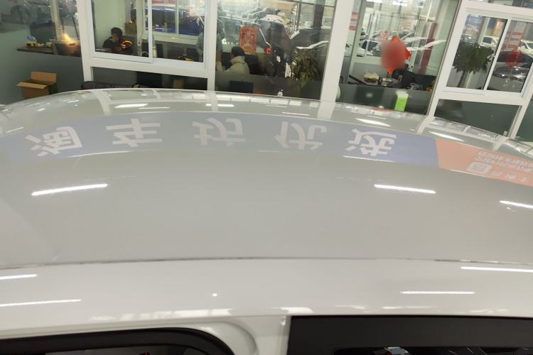 Used Leapmotor T03 2022 Agate Edition Roof