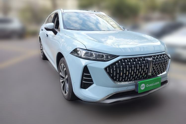 Used Wey Mocha 2021 2.0T Two-Wheel-Drive Premium Edition