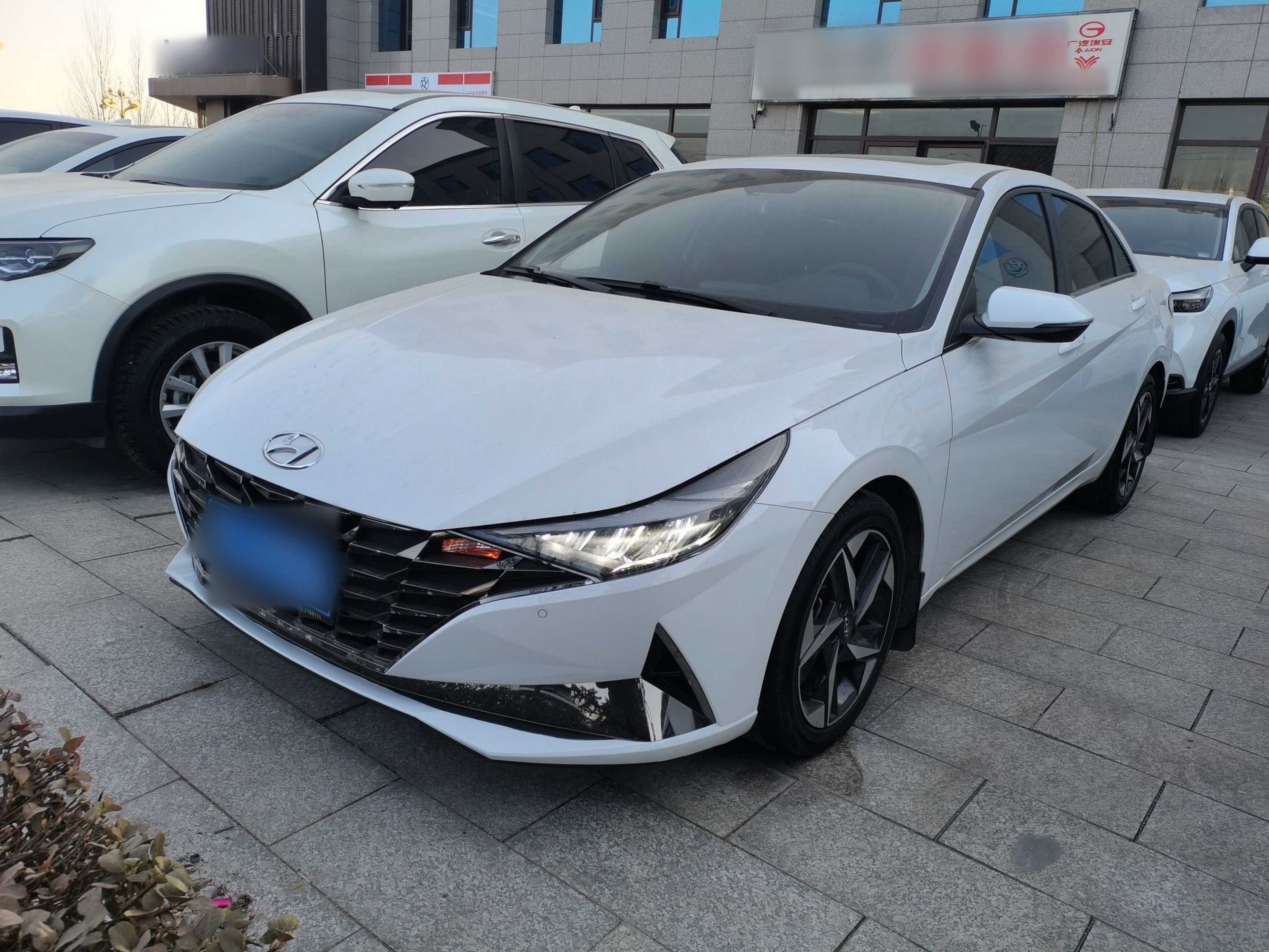Under Front Bumper