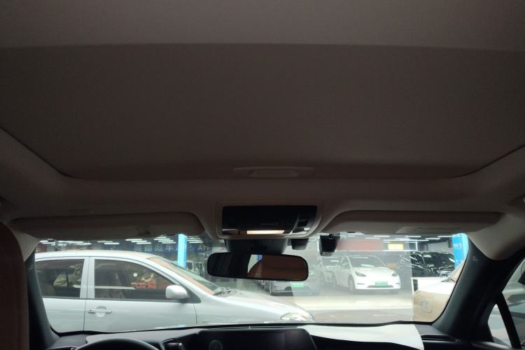 Used Lexus UX New Energy 2020 300e Pure·Joy Edition Headliner