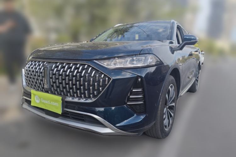 Used Wey Mocha 2021 2.0T Four-Wheel Drive Premium Edition