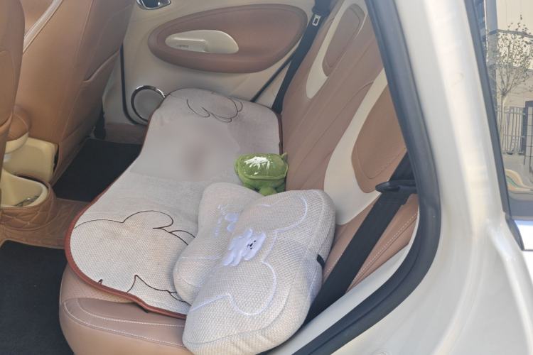 Used Wuling Bingo 2025 333 km Lingxi Connected Version Left Rear Seat