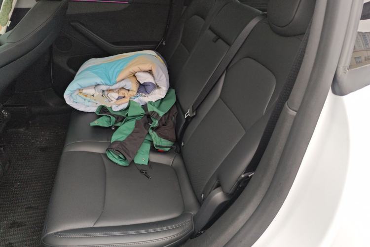 Used Tesla Model Y 2025 Long-Range All-Wheel-Drive Version Left Rear Seat