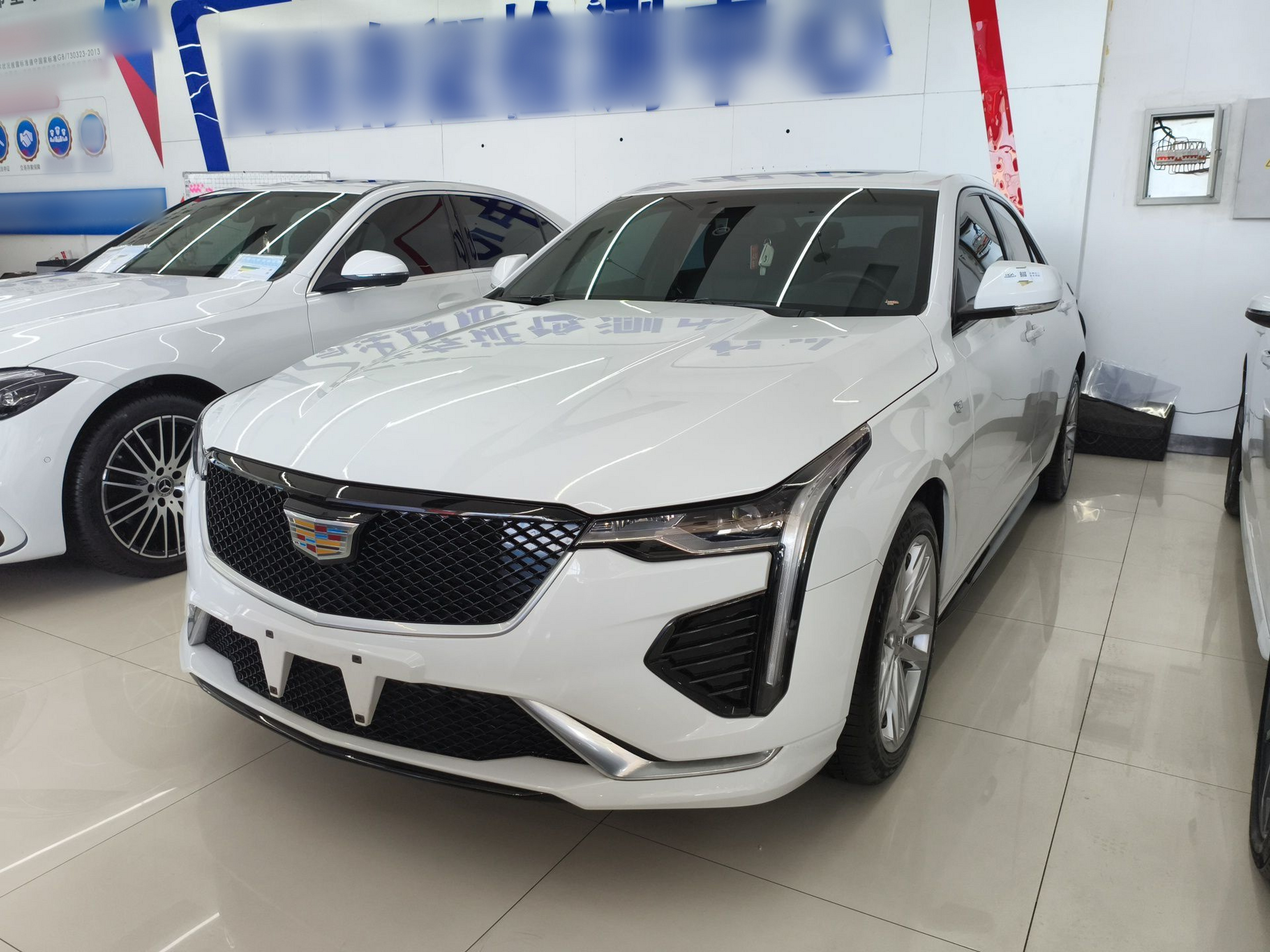 Under Front Bumper