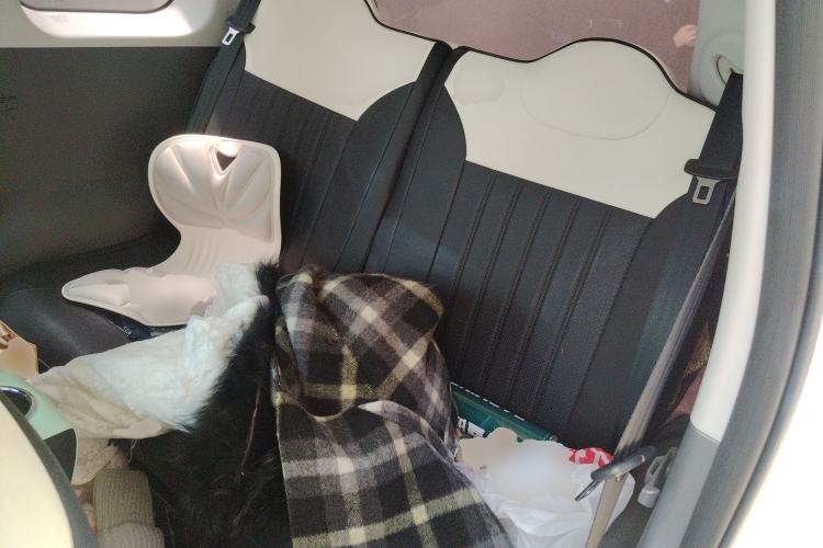 Used CHANGAN NEVO Lumin 2023 205km Xiangqin Version Left Rear Seat