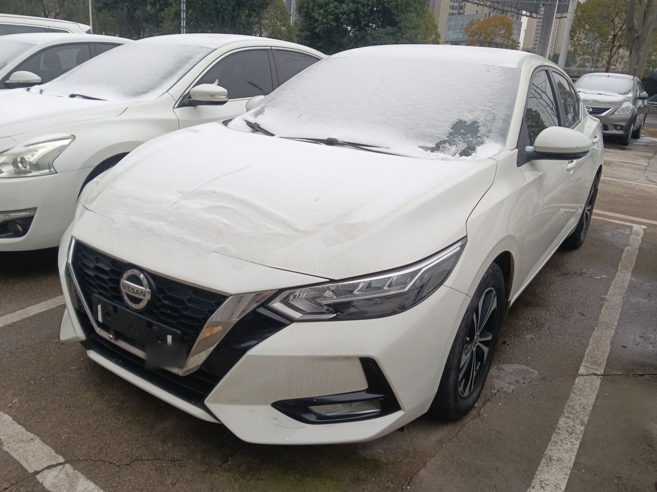 تحت مقدمة السيارة