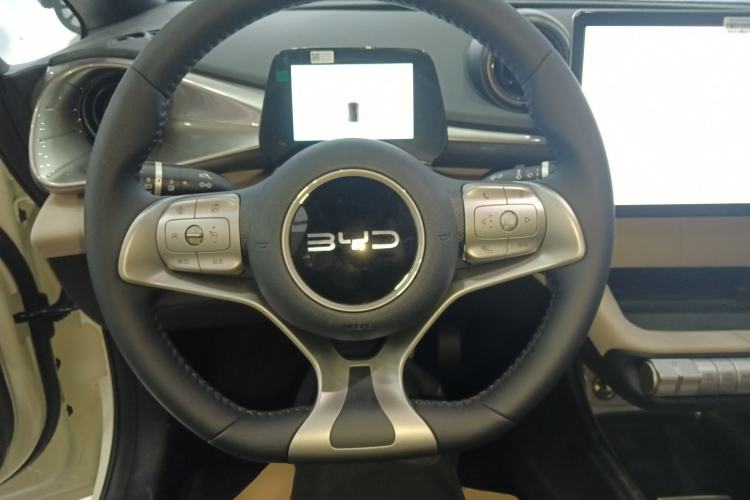 Used BYD Dolphin 2025 420km Free Edition
