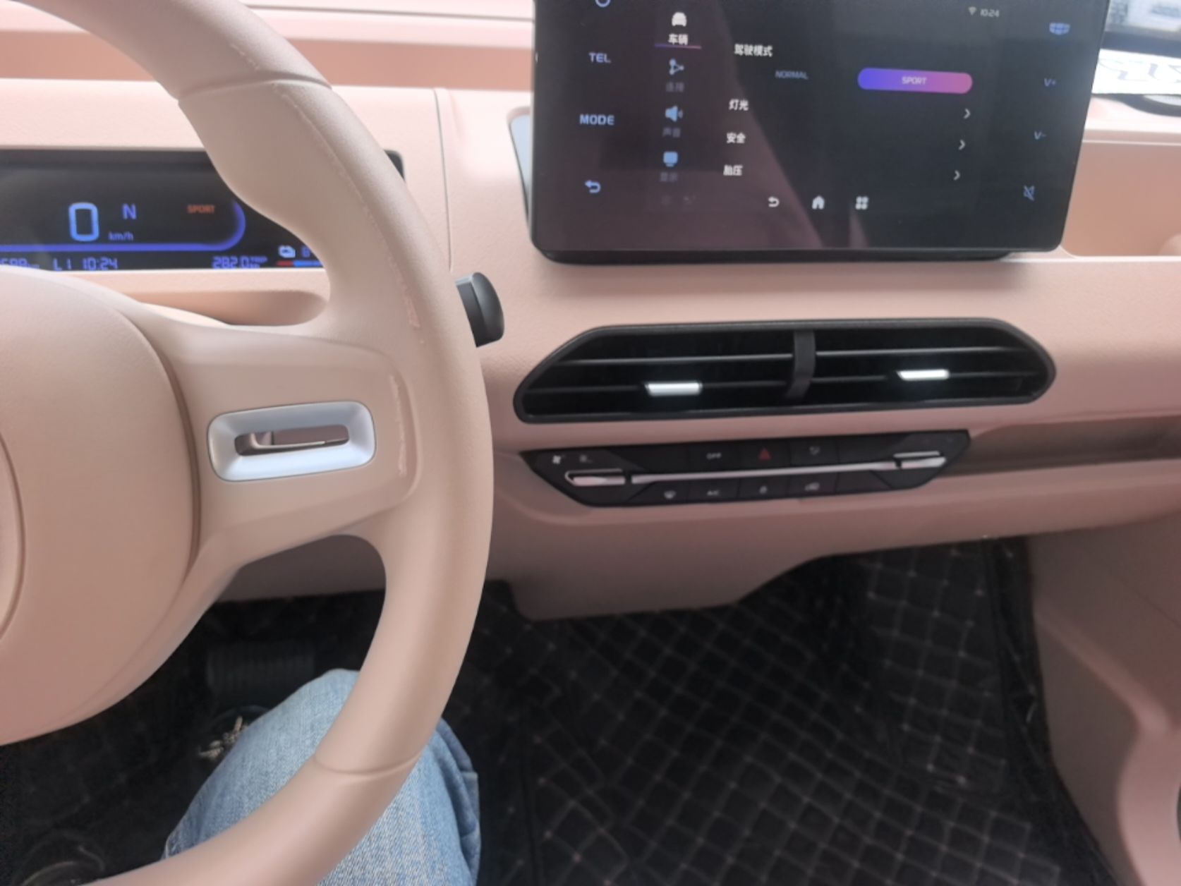 Geely Galaxy Panda 2023 Panda Mini 200km Endurance Bear — снимка 12