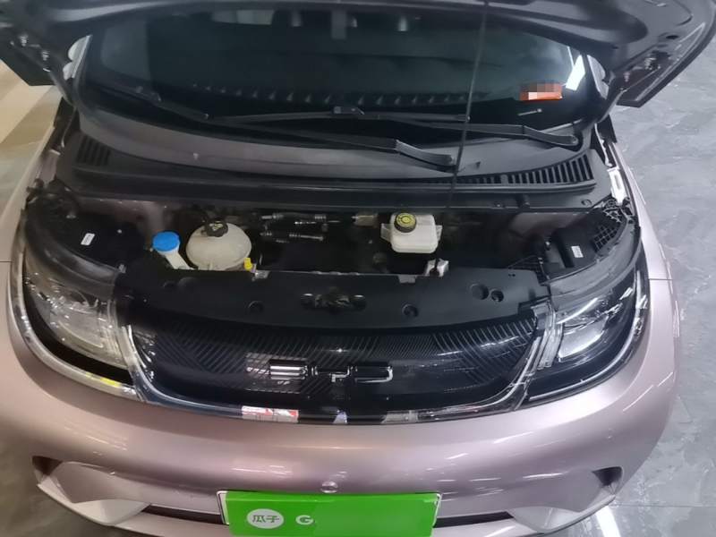Used BYD Dolphin 2021 405 km Fashion Edition — 19