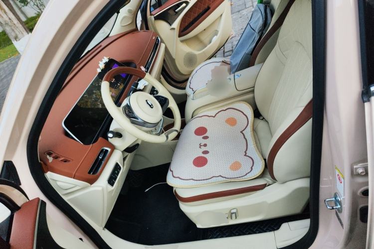 Used ORA Good Cat 2023 401 km Standard Range Prestige Version Lithium Iron Phosphate Left Front Seat