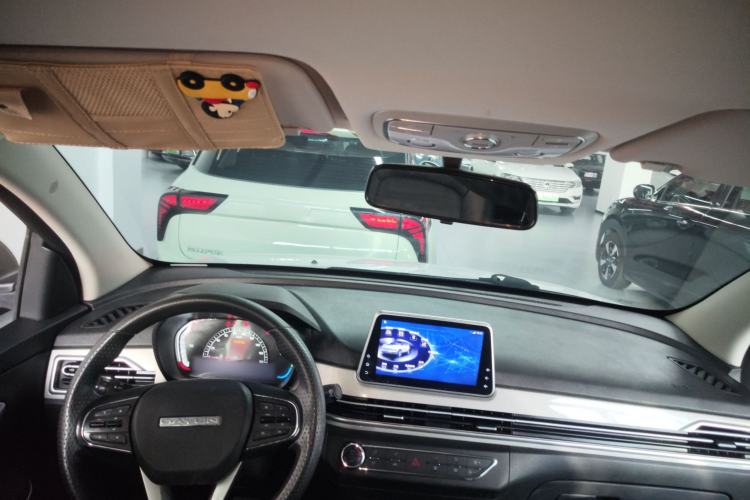 Used Dayun Yuehu 2022 30.66 kWh Two-Wheel Drive Standard Version
