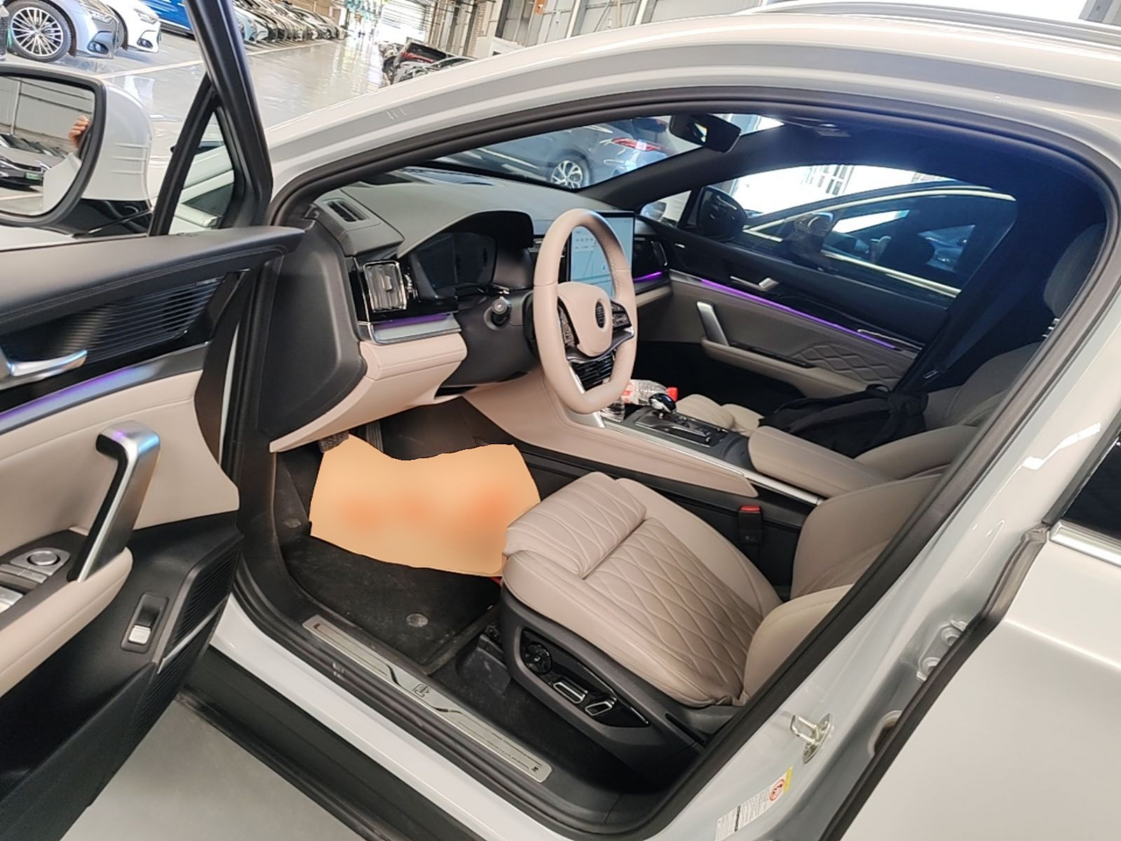 Interior delantero
