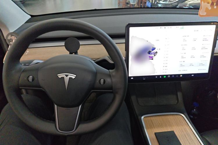 Used Tesla Model Y 2021 Standard Range Rear-Wheel Drive Version