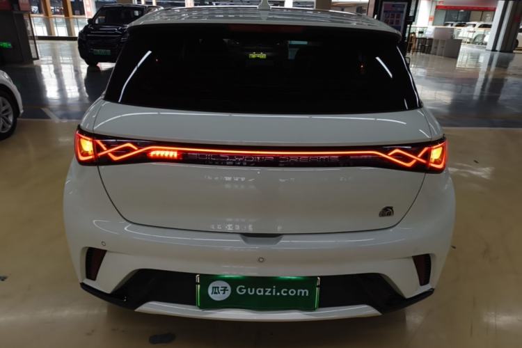 Used BYD Dolphin 2021 405 km Fashion Edition Rear