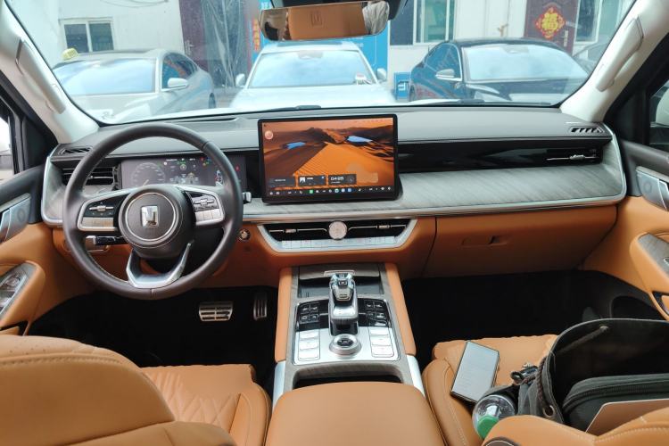 Used Tank 500 New Energy 2024 Hi4-T Center Console