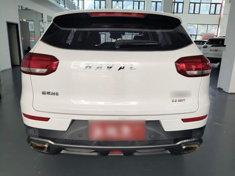 Used Haval H6 2020 2.0 GDIT Automatic Platinum Champion Edition — 5
