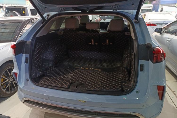 Used Wey Mocha 2021 2.0T Four-Wheel Drive Premium Edition
