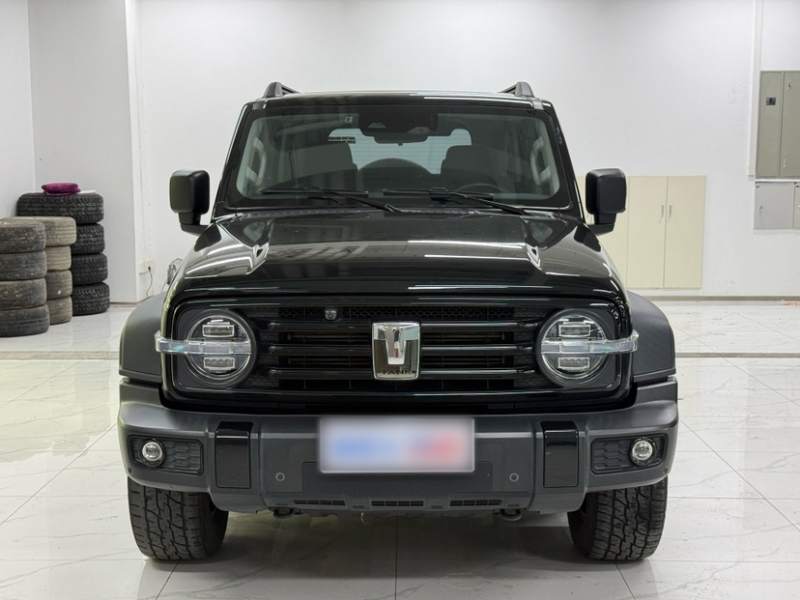 Used Tank 300 2021 Off-Road Edition 2.0T Conqueror — 33