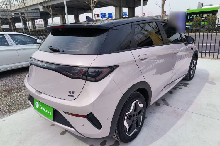 Used BYD Dolphin 2025 Smart Drive Version 420 km Freedom Edition
