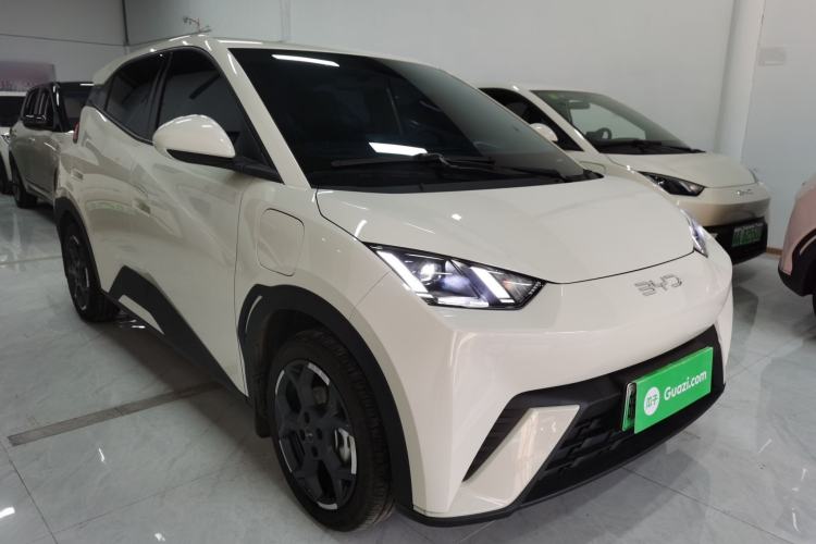 Used BYD Seagull 2025 305 km Free Version
