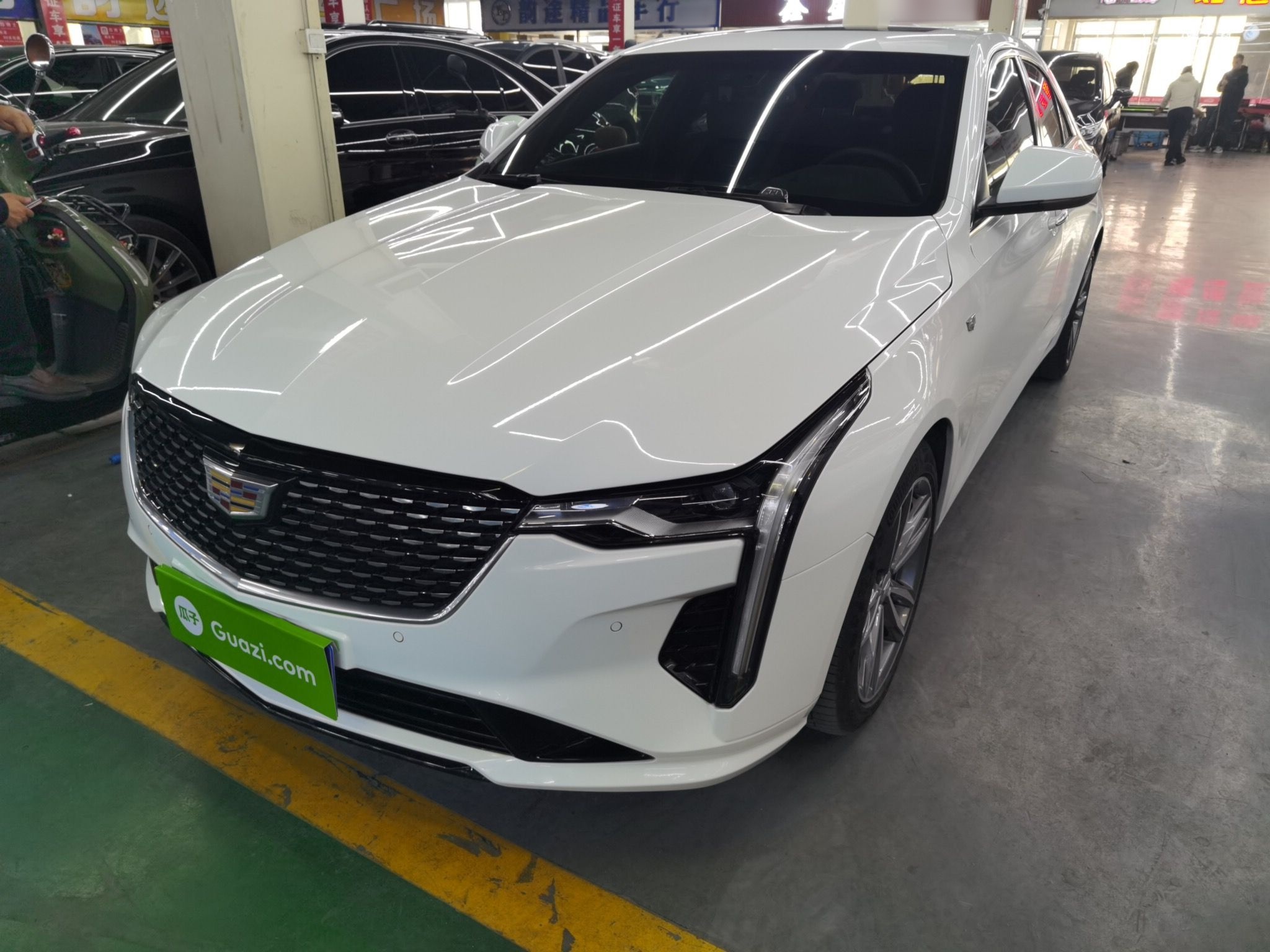 Parte inferior delantera