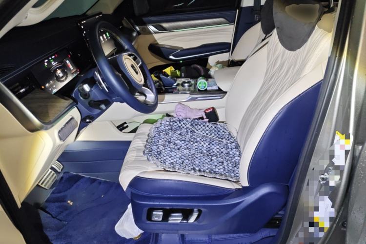 Used Tank 500 2022 3.0T Sport Edition "Creation" Version 5-Seater Left Front Seat