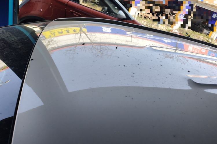 Used AION Y 2023 Plus 510 Enjoy Edition