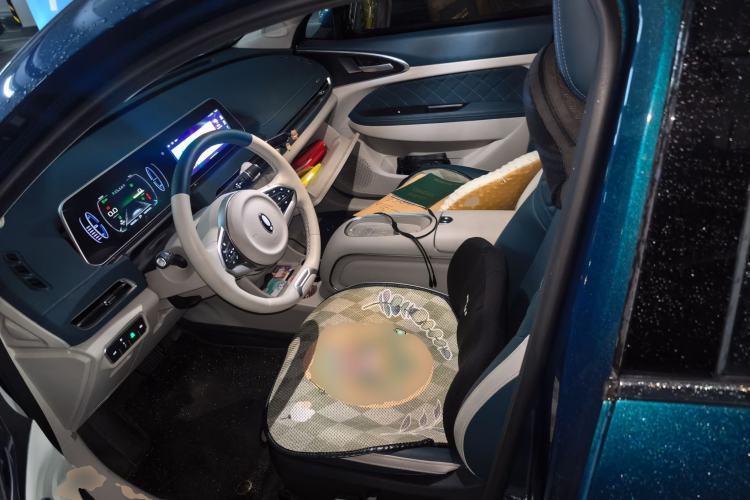 Used ORA Good Cat 2023 401 km Standard Range Premium Version Lithium Iron Phosphate
