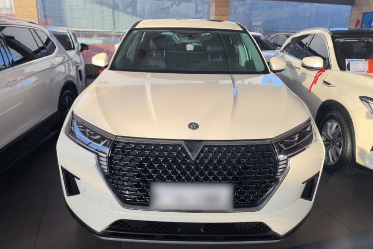 Used Venucia Star 2020 260T Automatic XingShang Edition