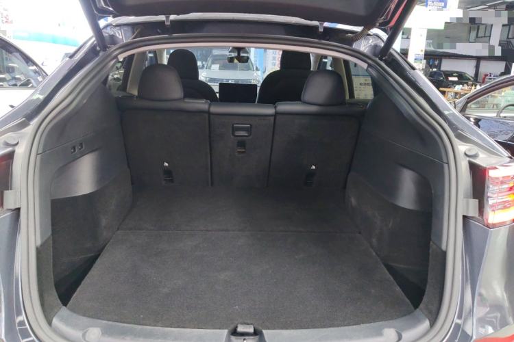 Used Tesla Model Y 2021 Standard Range Rear-Wheel Drive Version
