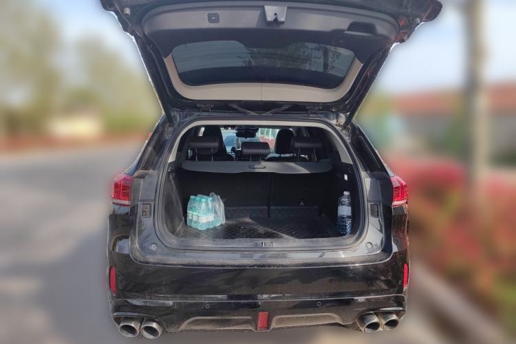 Used Wey VV6 2020 2.0T Two-Wheel Drive Smart Protection+ Trunk