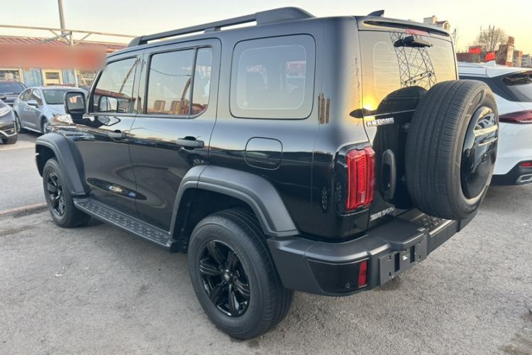 Used Tank 300 2024 2.0T Conqueror