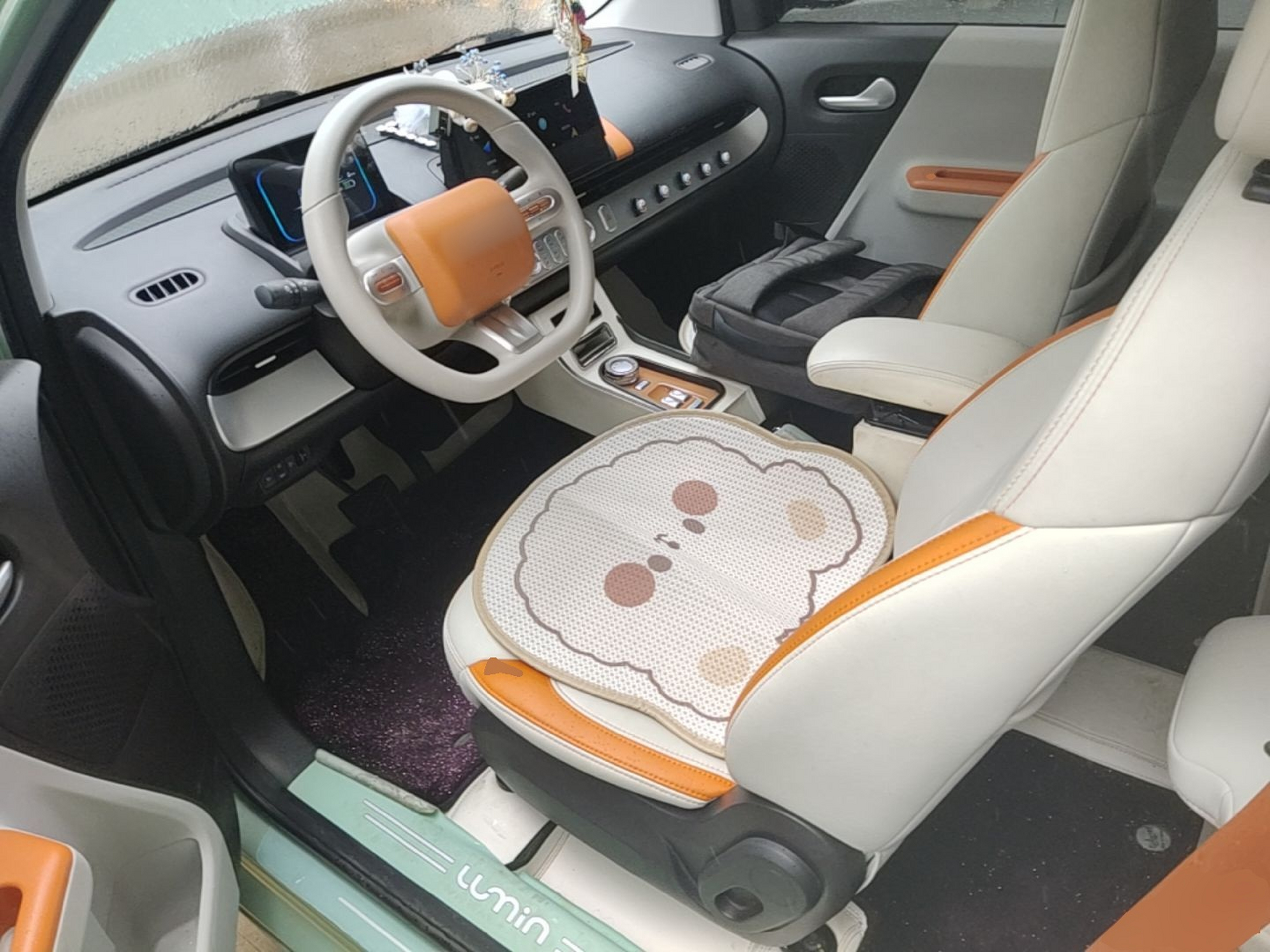 Interior delantero