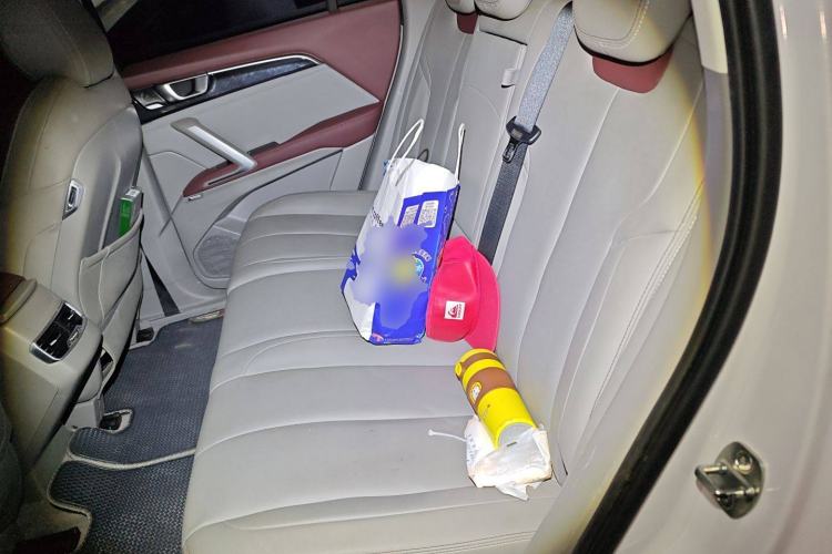 Used Baojun RS-5 2019 1.5T CVT Intelligent Driving Flagship Edition China V Emission Standard