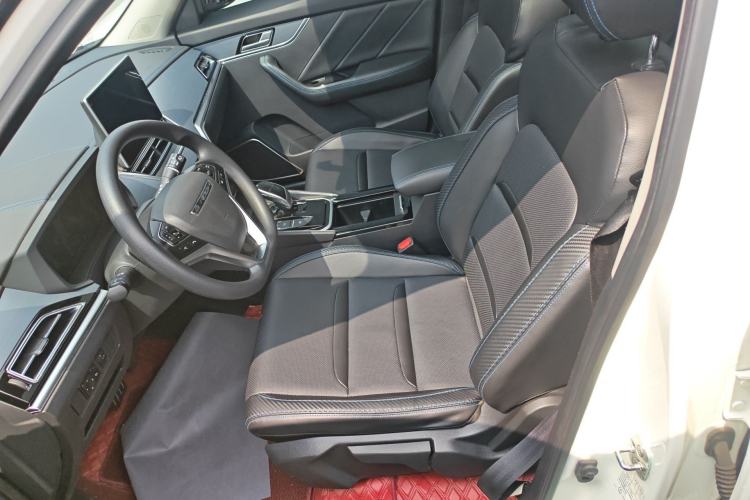 Used Venucia T60EV 2020 AI Enjoyment Model
