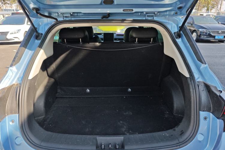 Used NETA V 2021 Standard Range Version