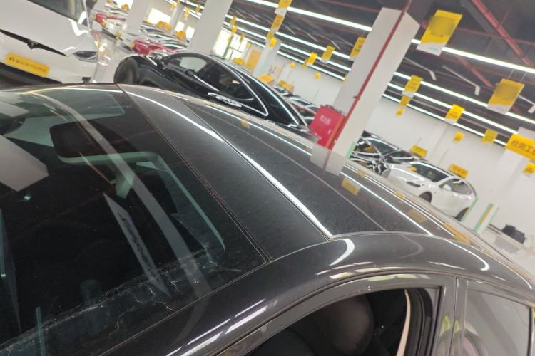 Used firefly 2025 Illuminated Edition
