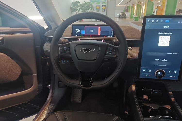 Used Ford Mustang Mach-E 2021 AION Y Plus Rear-Drive Luxury Edition (Long Range)
