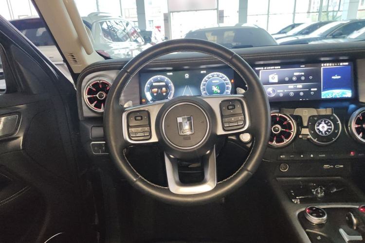 Used Tank 300 2023 City Edition 2.0T My Vision Model
