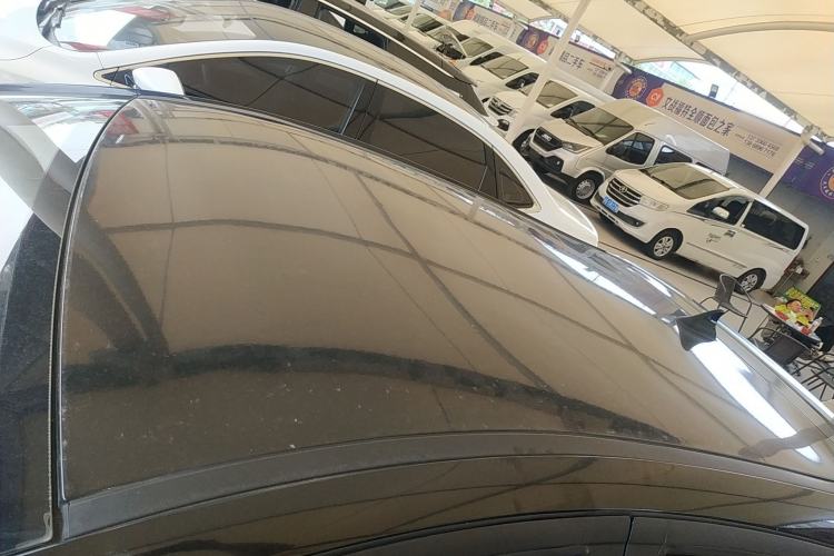 Used SOL E10X 2022 Flower Fairy Style Baby's Breath Roof