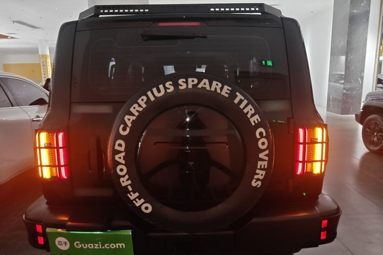 Used Tank 300 2024 2.0T Conqueror