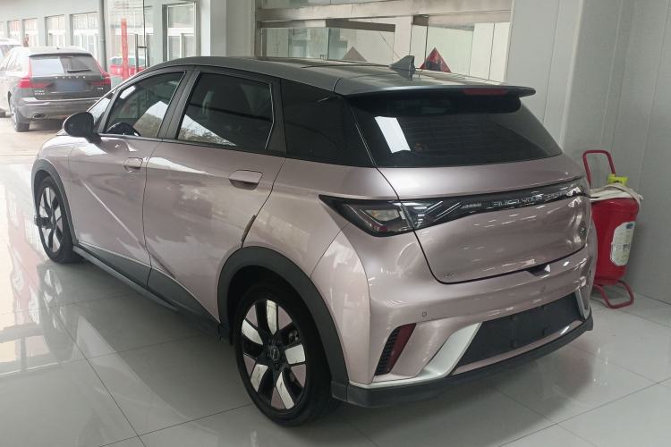 Used BYD Dolphin 2021 401km Knight Edition