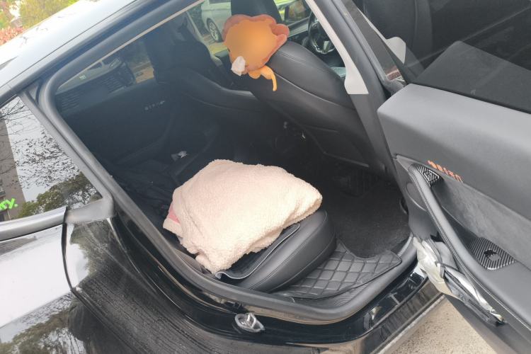 Used Tesla Model Y 2023 Rear-Wheel-Drive Version Left Rear Seat